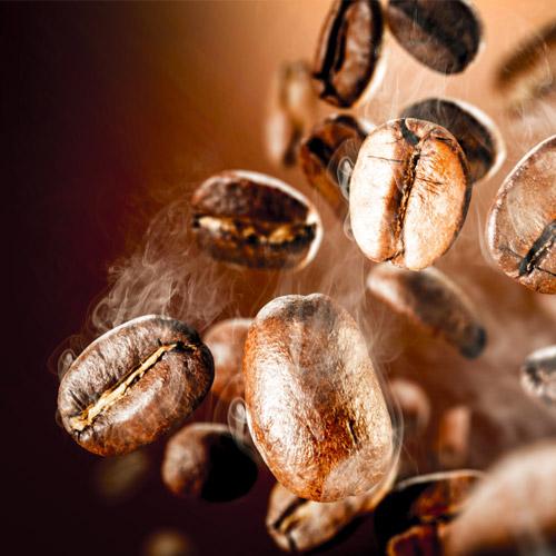 Kaffeeplantage